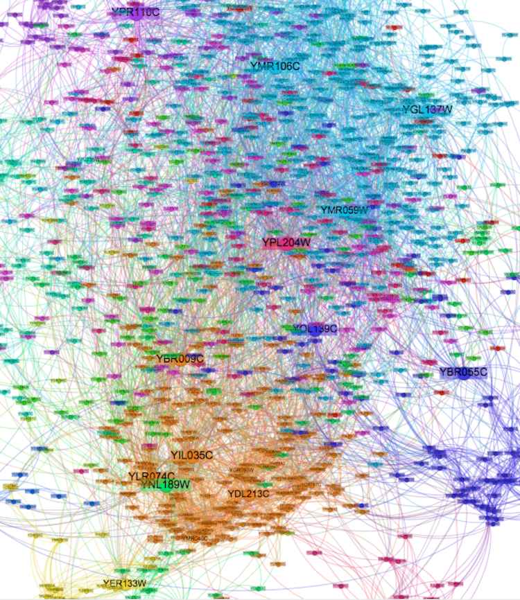 key proteins zoom-in graph